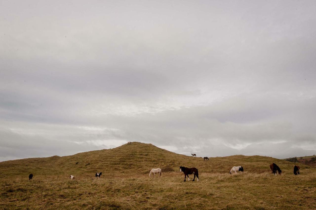 크로나킬티 The Wild Atlantic Hideaway 아파트 외부 사진